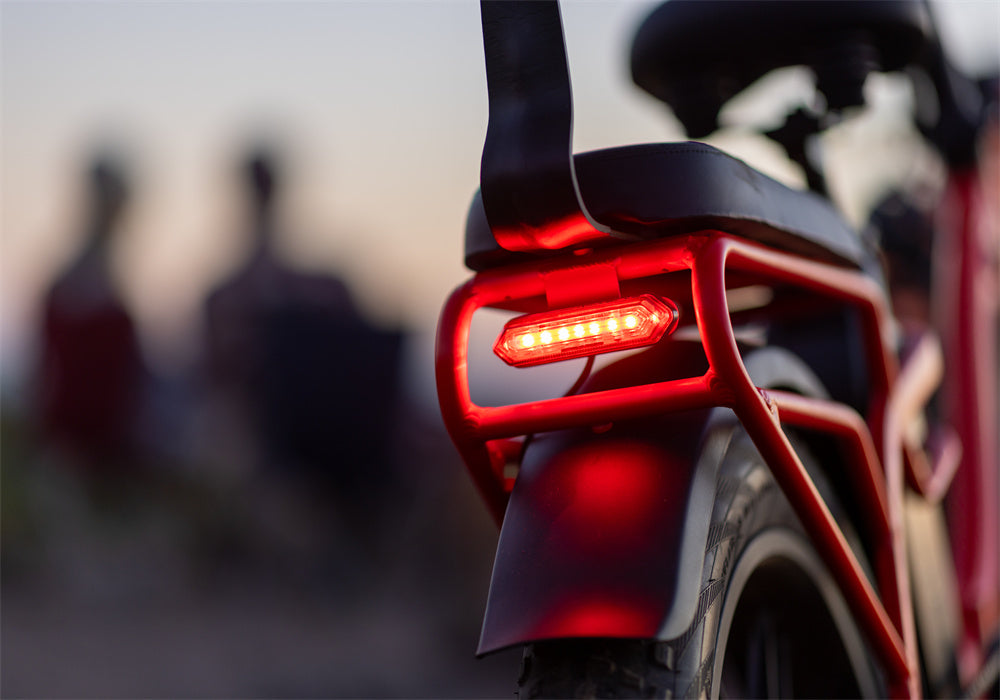 Tesway elctric bicycle with brake light