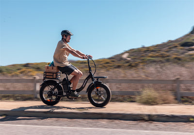 Where to Buy Your Next EBike: Walmart, Amazon, or TESWAY