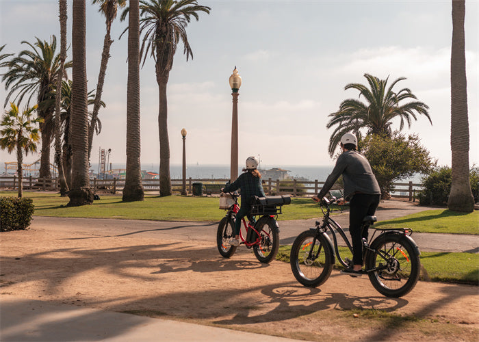 TESWAY S5：The Best Rated Ebike On The Market