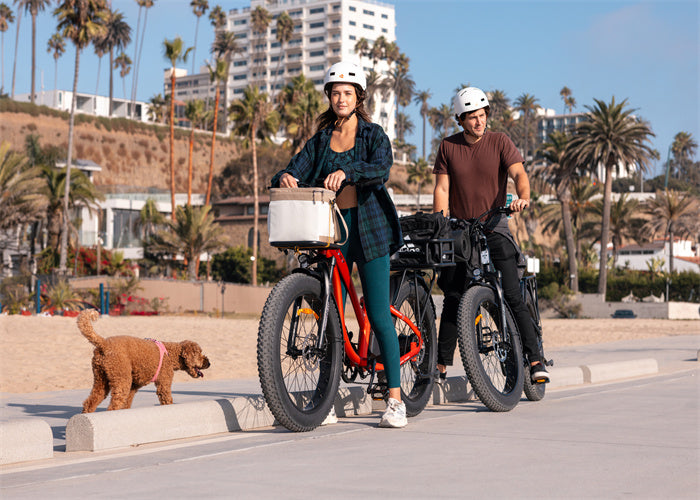 The Ultimate Guide to the Best 750 Watt Electric Bikes