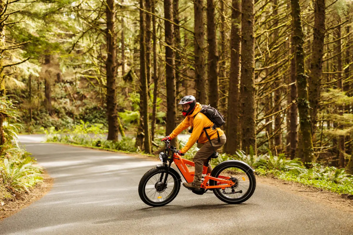 How to Remove an E-Bike Speed Limiter: What You Need to Know