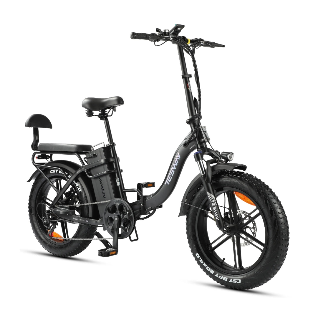 Tesway S5 Longer Range Fat Tire Electric Bik