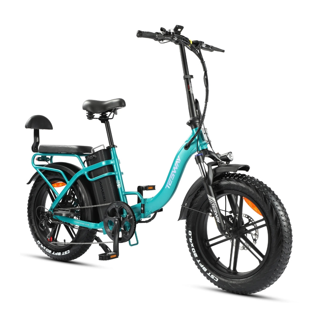 Tesway S5 Longer Range Fat Tire Electric Bik