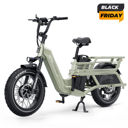 TESWAY C5 AWD Cargo Ebike