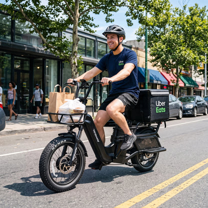 TESWAY C5 AWD Cagro Ebike